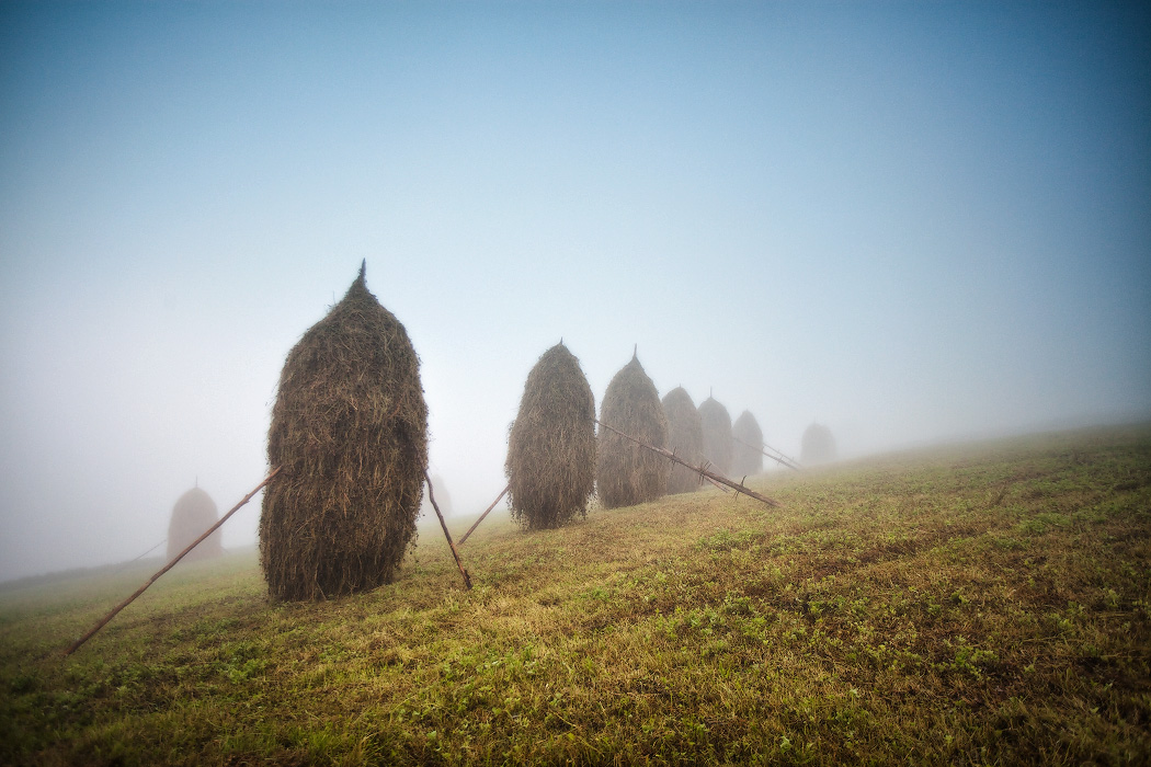 Про стожки и туман