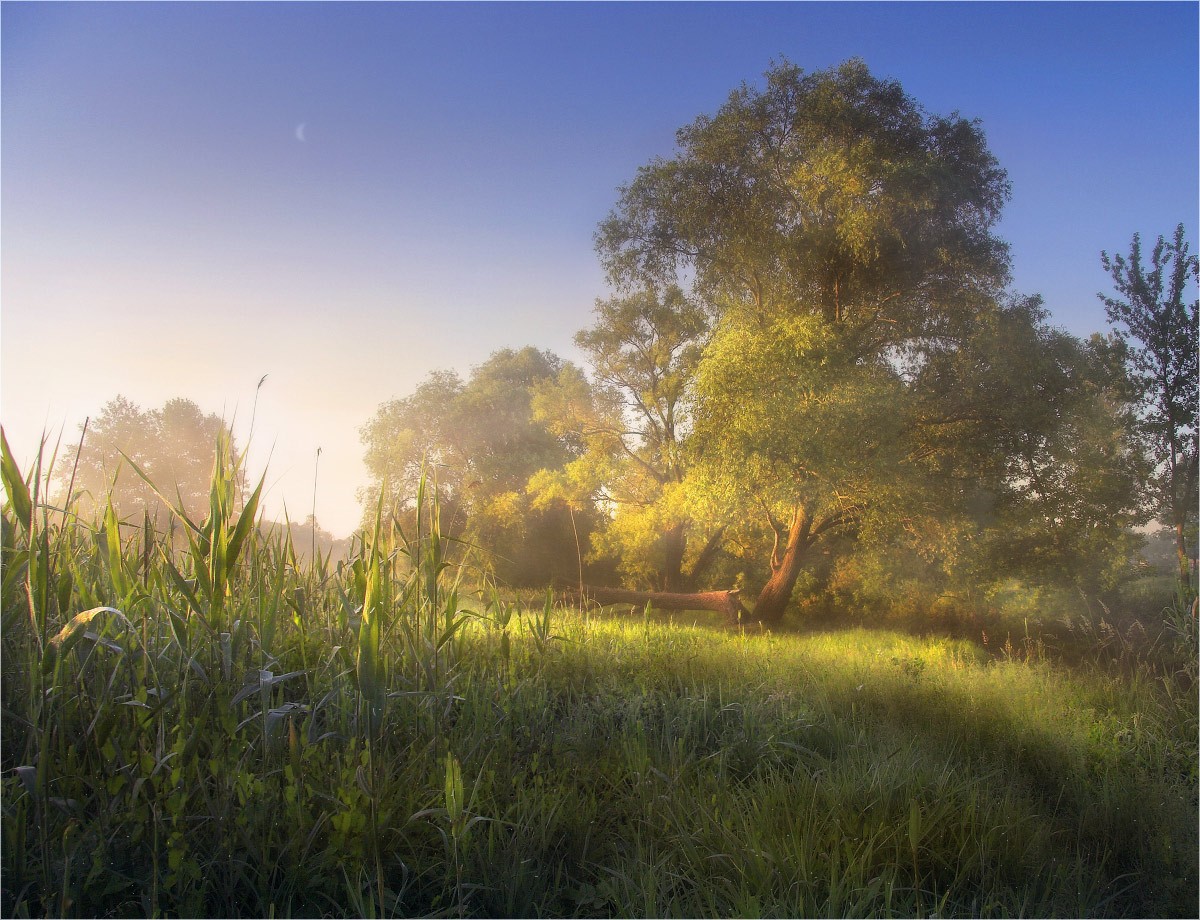 ДОБРОЕ УТРО...