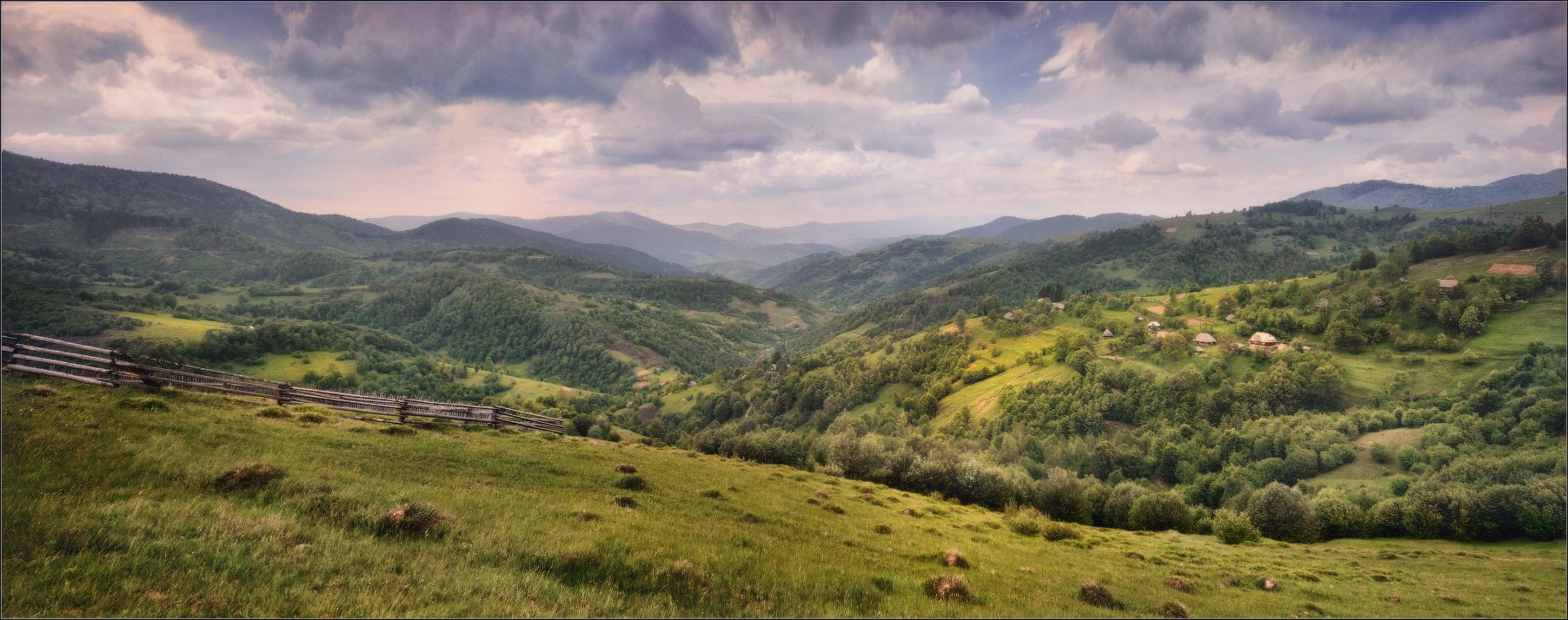 / Карпатская, обыкновенная .. /