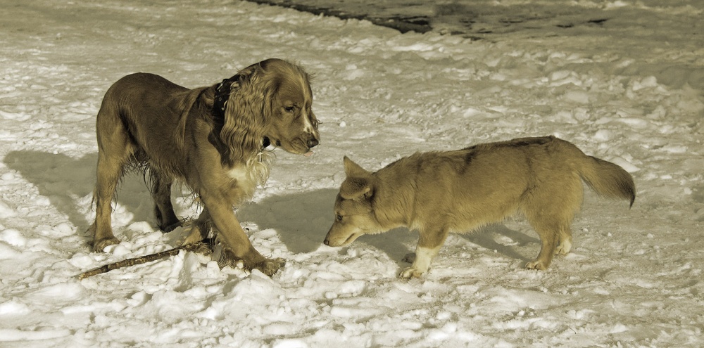 И не мылься