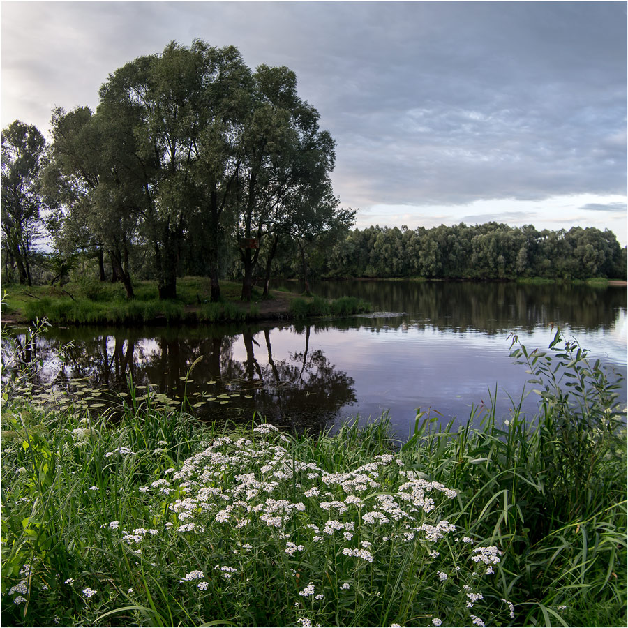 ЛЕТНИЙ ВЕЧЕР...