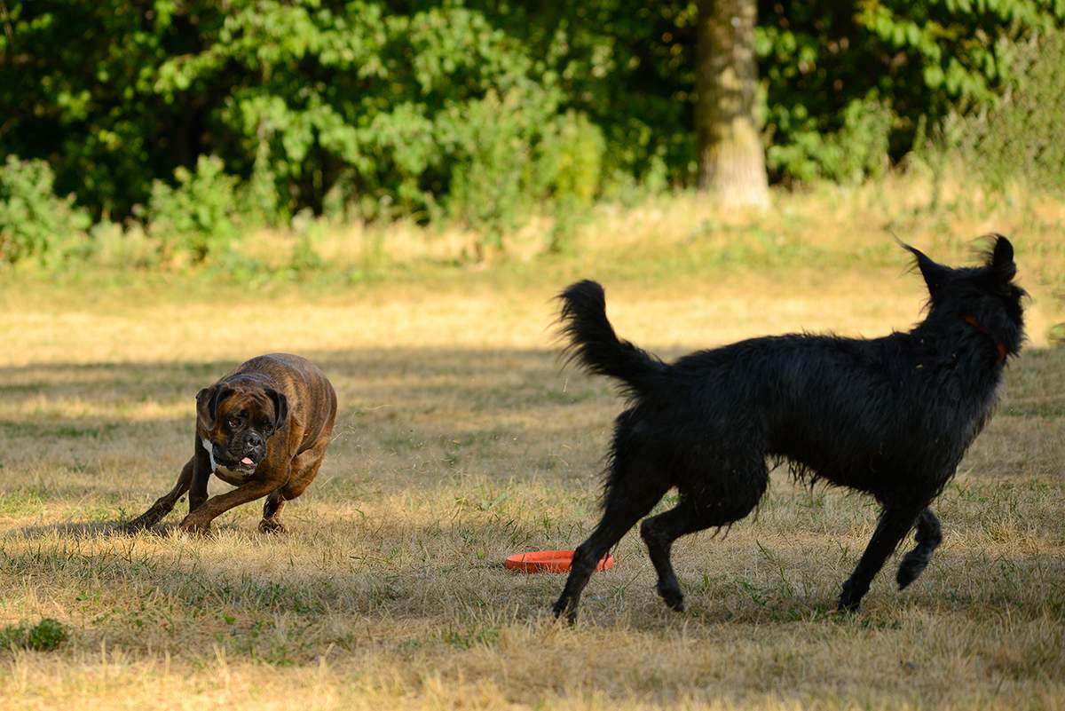 ...don't even think about