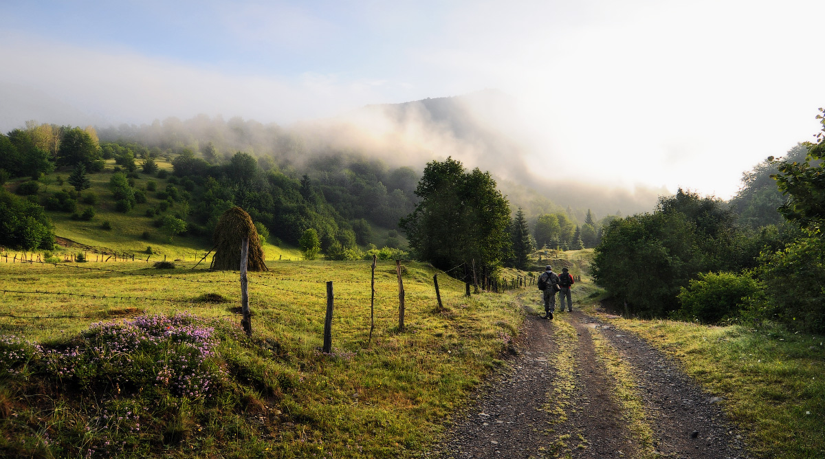Утренней тропой...