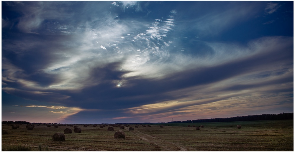 ПТИЦА НОЧИ...