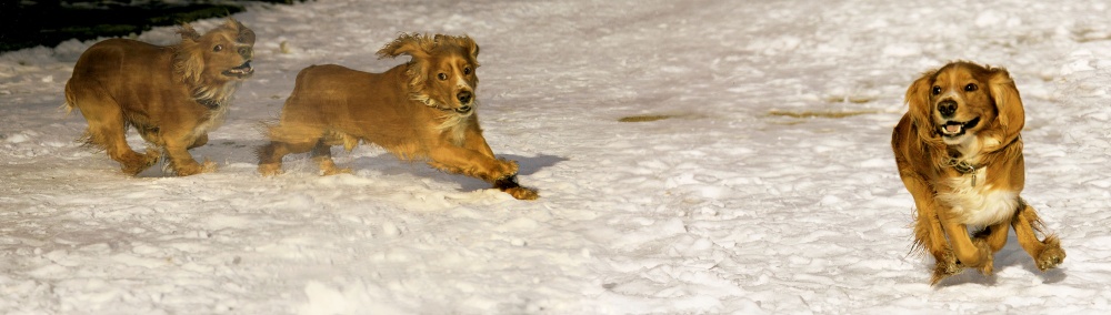 Нас не догонят