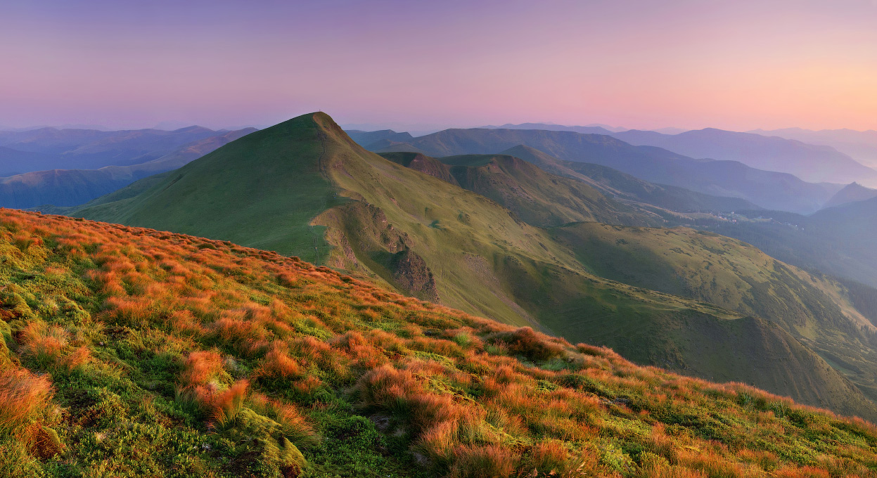 Марсианские ежики...