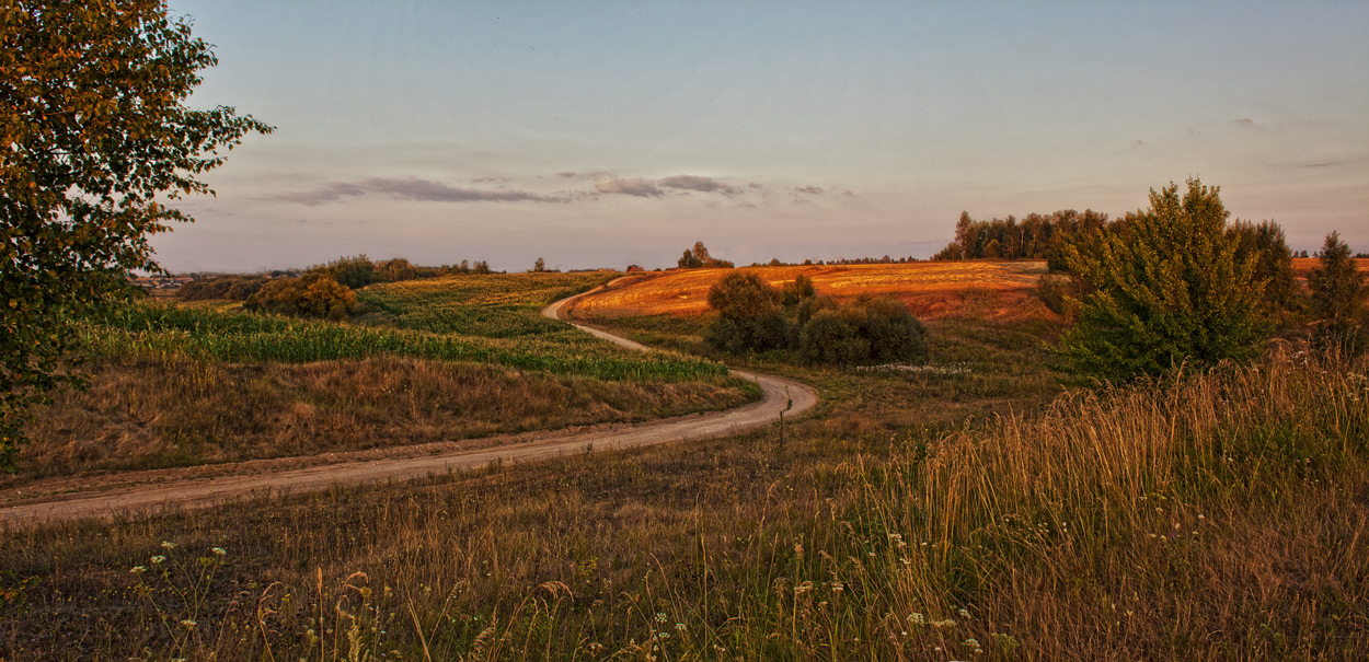 Августовские этюды