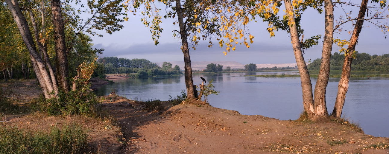 Первые шаги осени