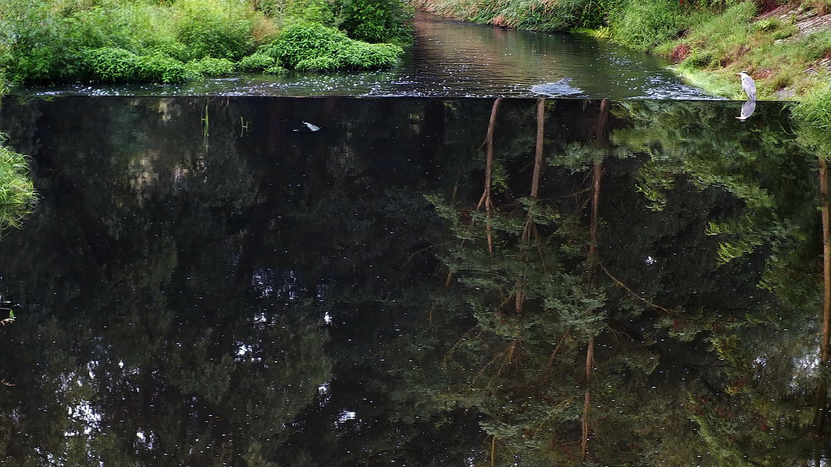 ПОРОГ(Параллельные миры)