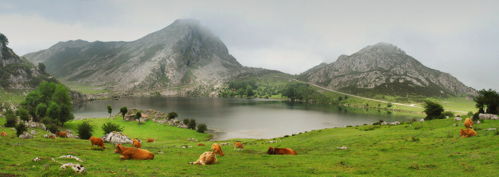 Пейзаж с коровками