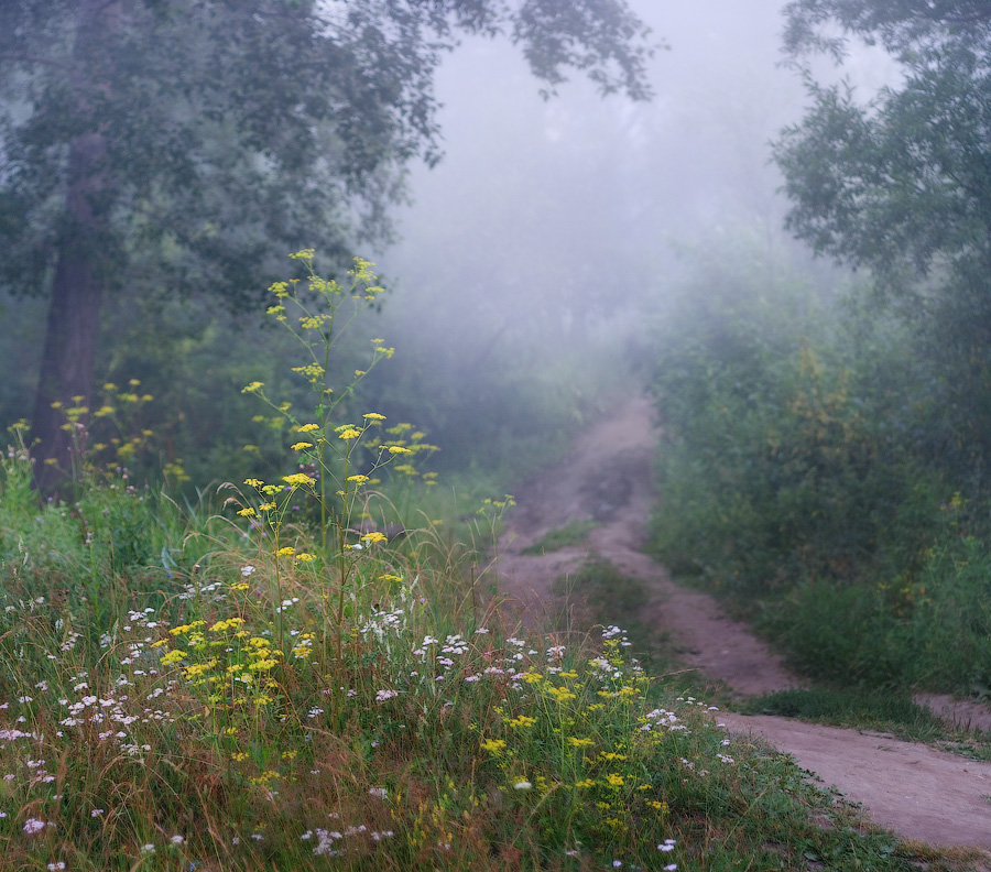 Утренний этюд