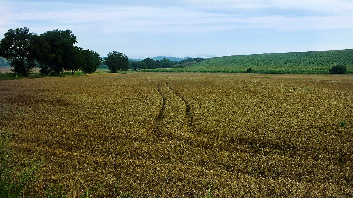 УТРО В СЛОВАКИИ