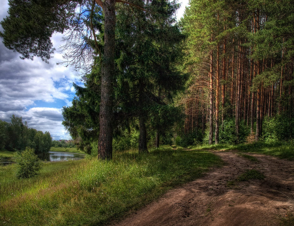 Сосновый бор