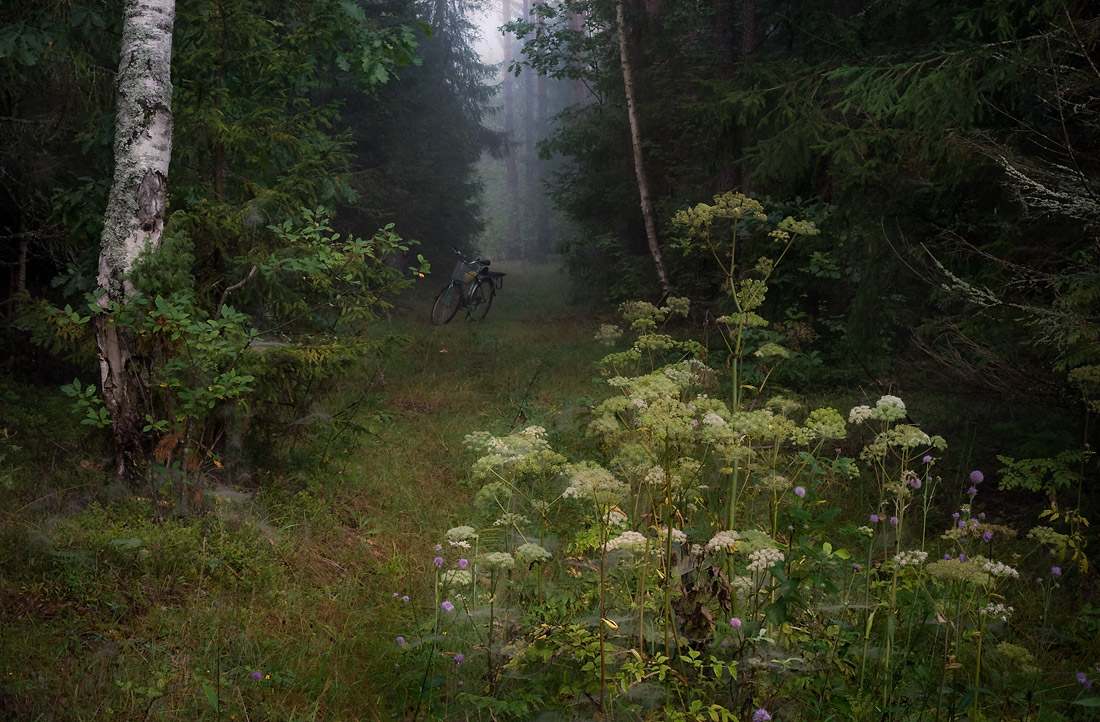 Этюд с велосипедом