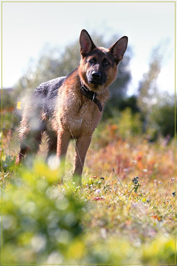 А ты кто такой...?