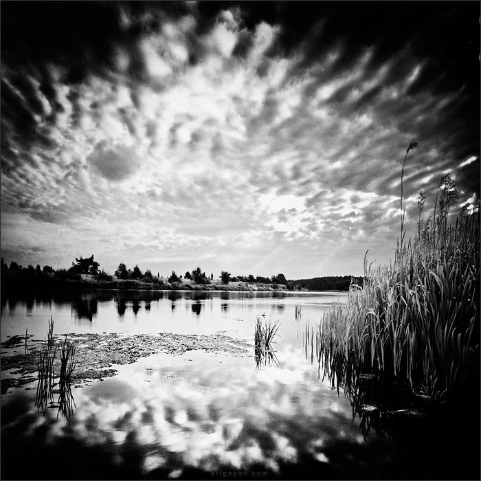 ‎[ N e m u n a s ]