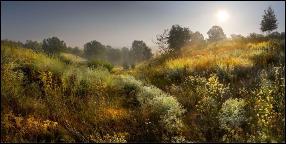 УТРО РОДОМ ИЗ ДЕТСТВА...