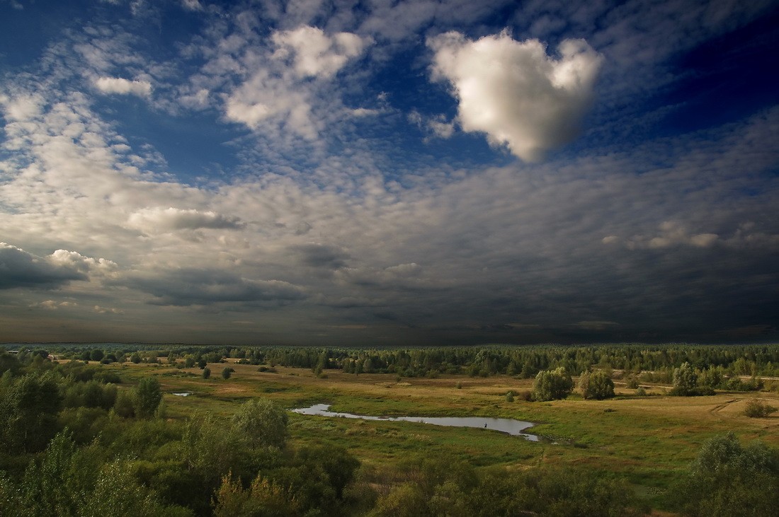 надвигалась гроза