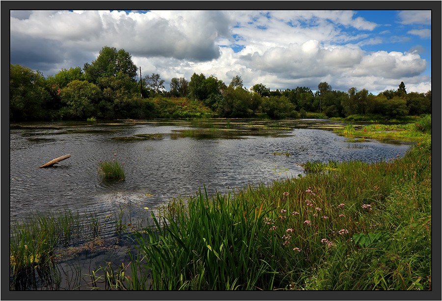 Тихая заводь..