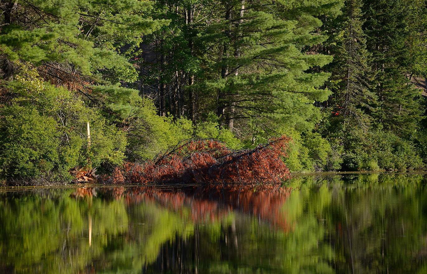 intervention of Autumn