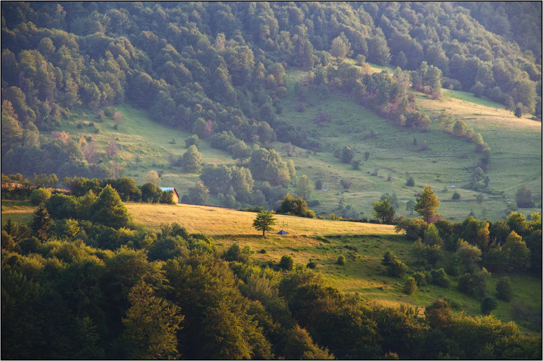 Затерянные