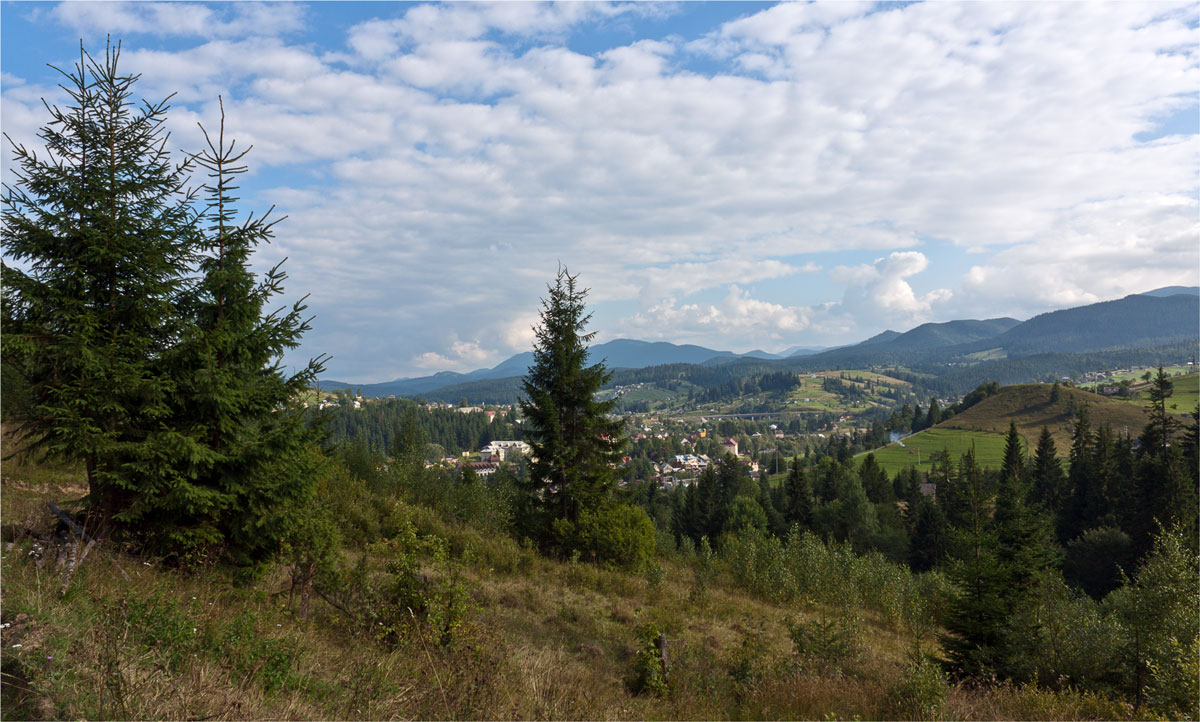 Запах хвои....