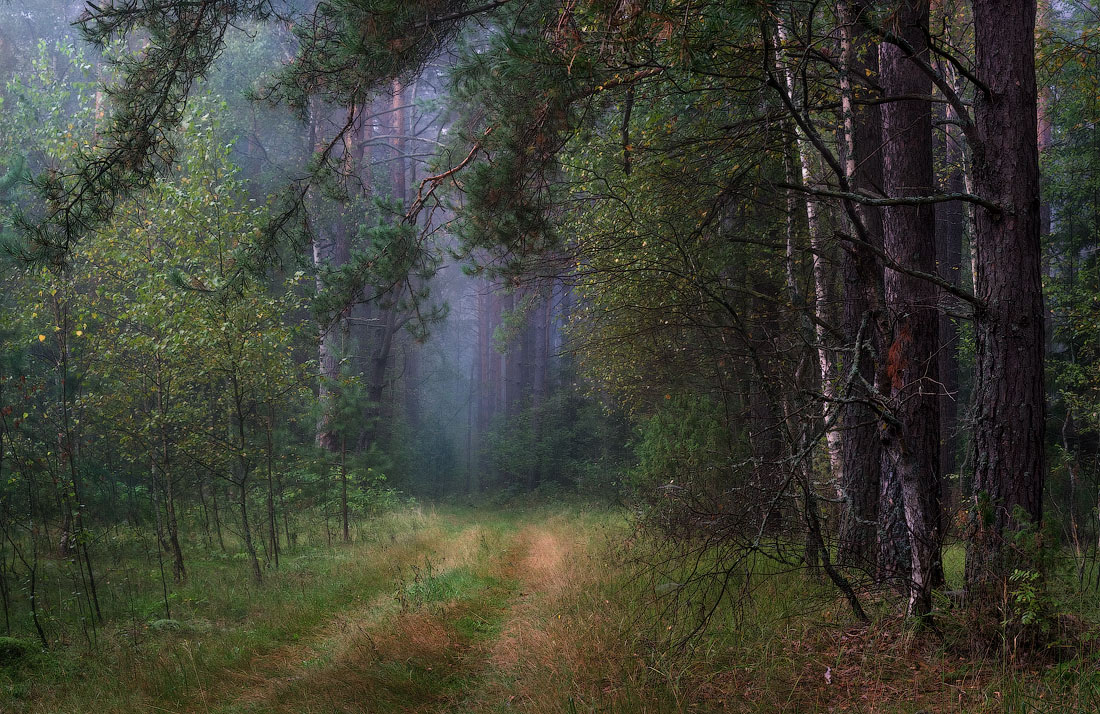 Ранним утром