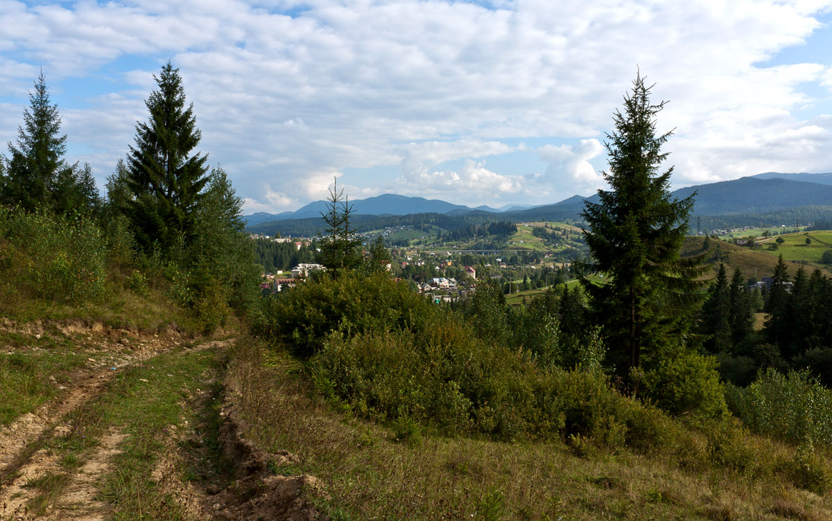 По дороге домой