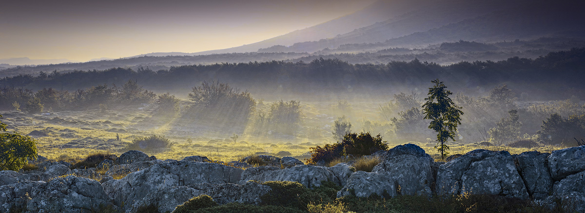 Сказочное утро Чатыр-Дага