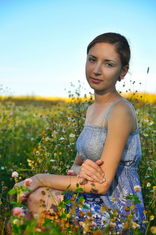 В ромашковом поле