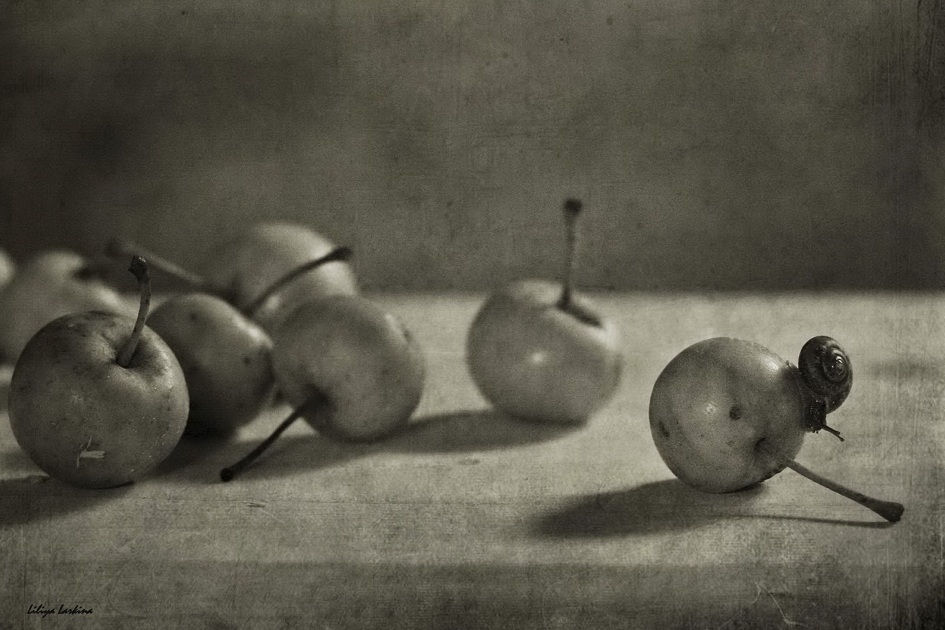 Чур...я в домике...