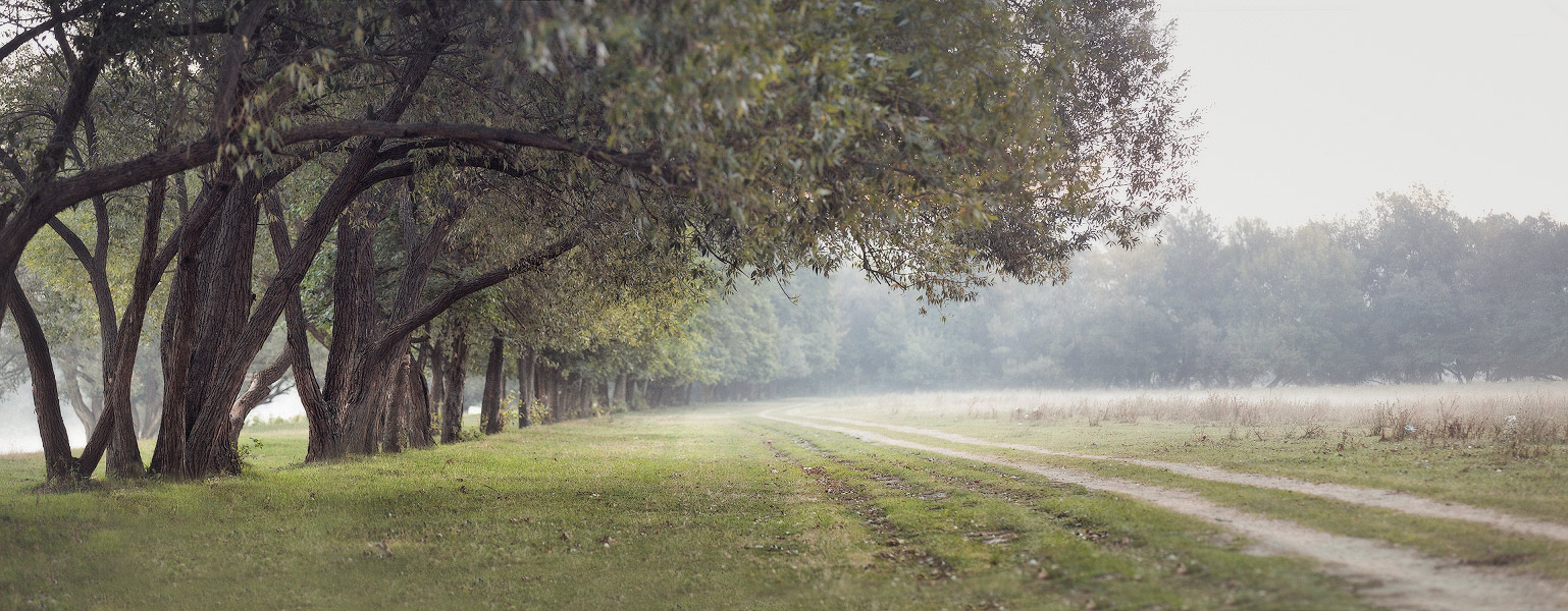 За одно утро до Осени