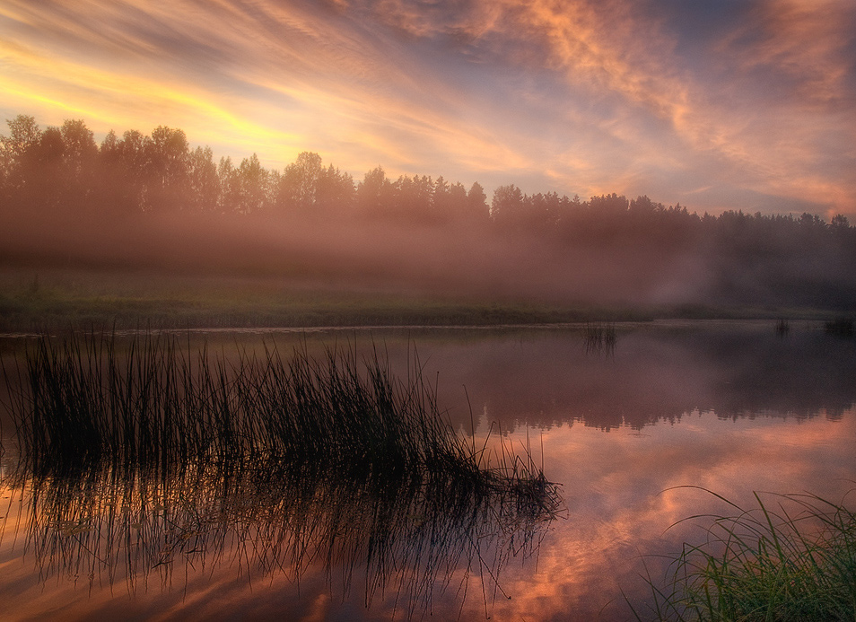 Розовый туман