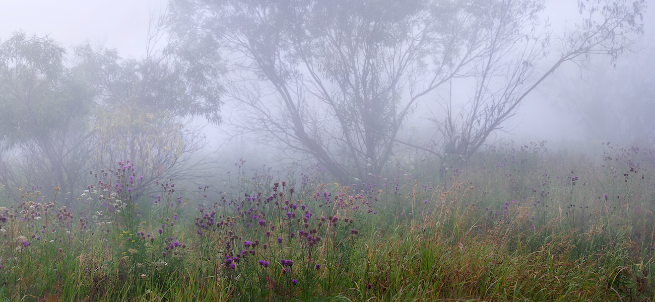 За туманом Чулым