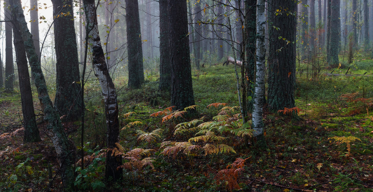 Сентябрьский вечер