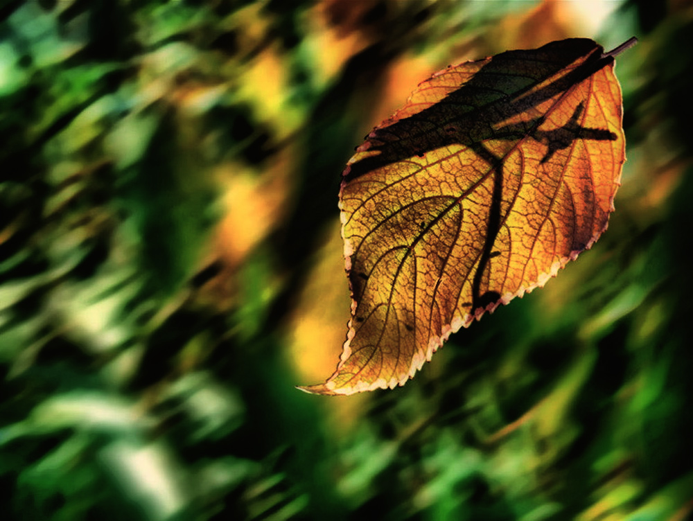 Вверх?Вниз?