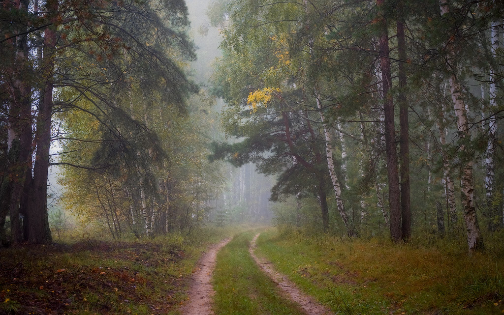 Утро сентября