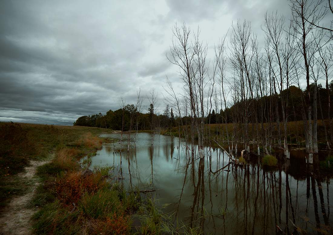 разливное озерцо, болотце одним словом