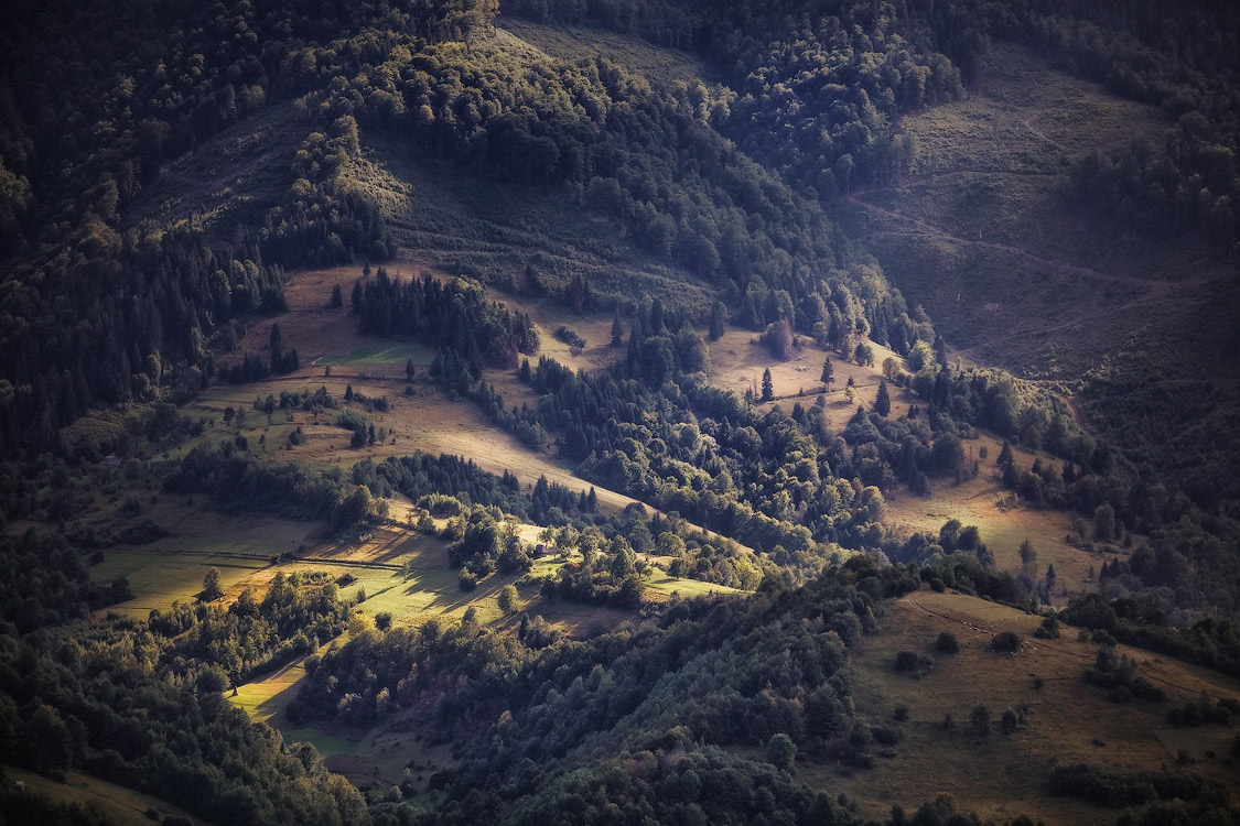 Карпаты. Середина Августа.