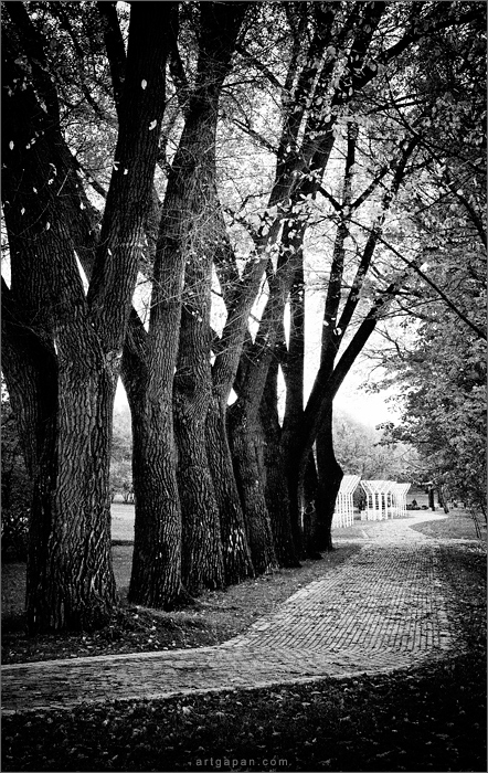 ‎...зарисовки из прогулок