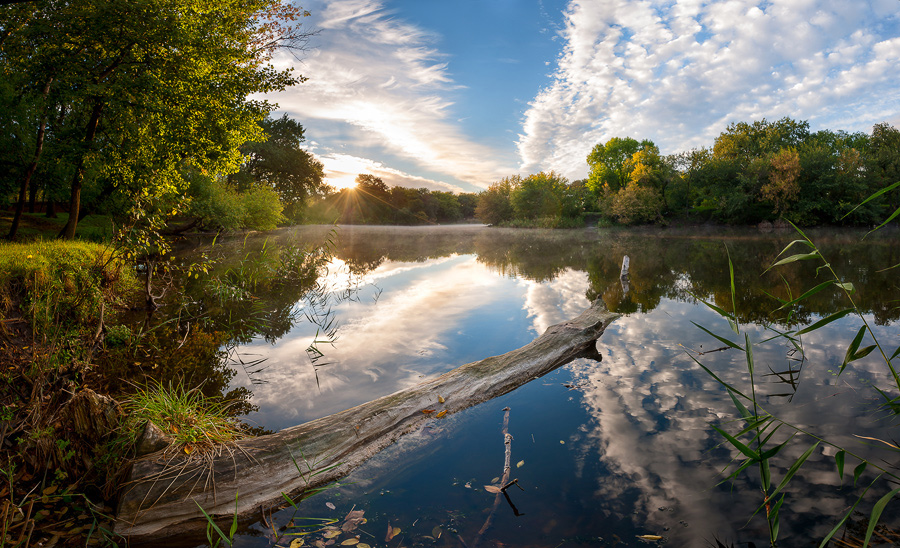 Утро скользит по воде