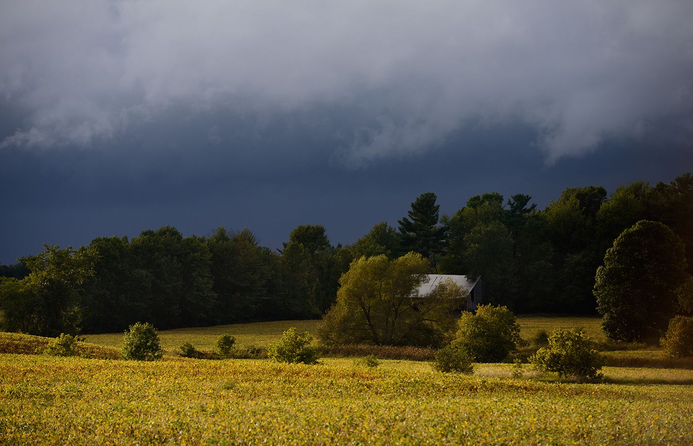 in the suburbs ......