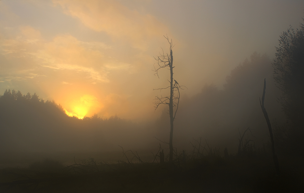 Туманный вечер