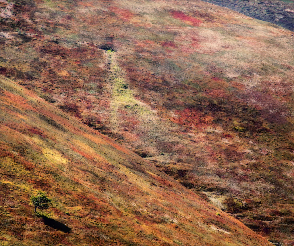 / Палитра осени /