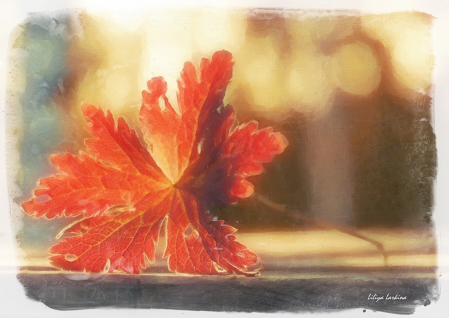 Ты появился в осени моей...однажды...