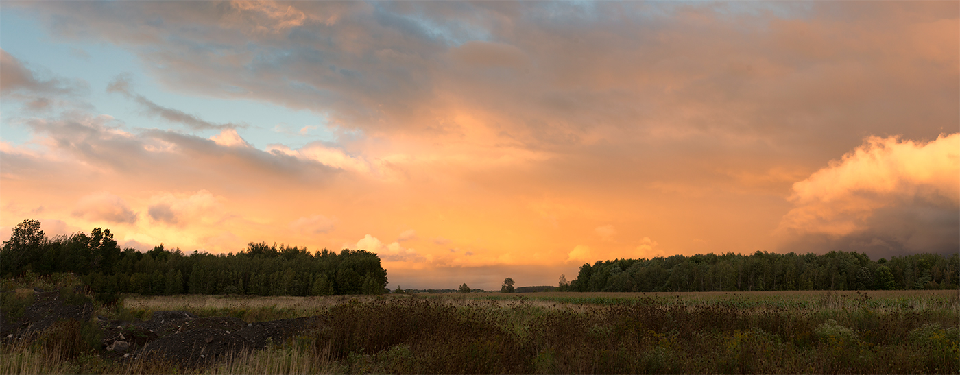 the behavior of the light