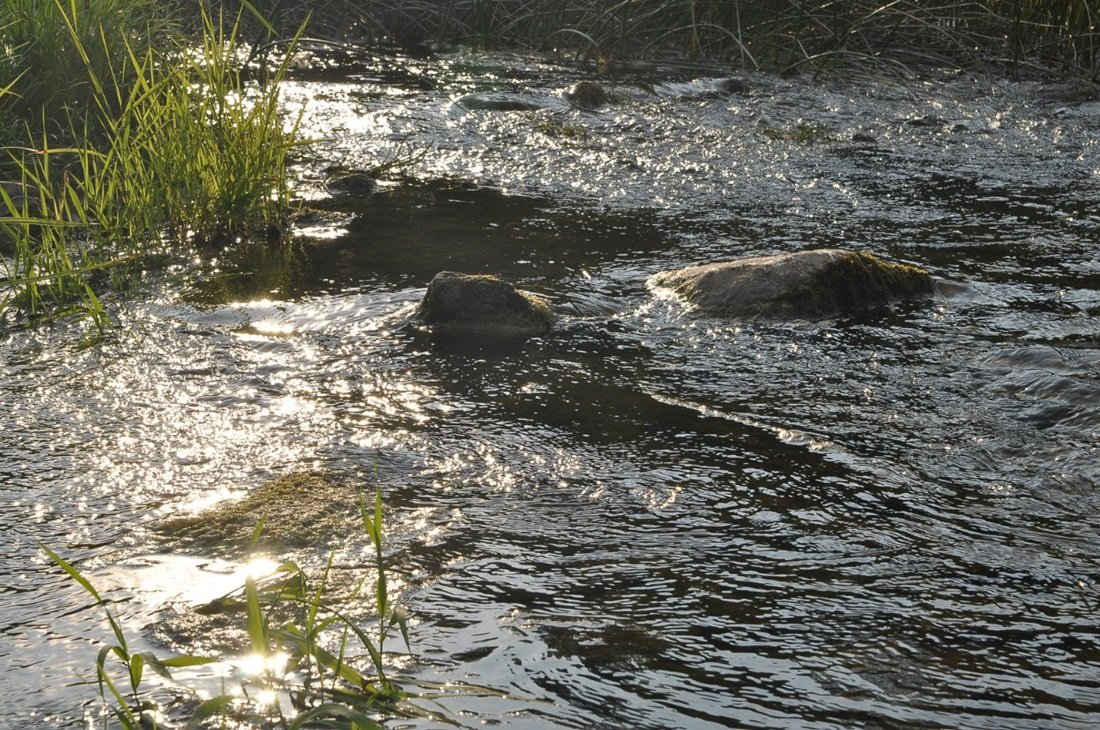 В постоянном беге