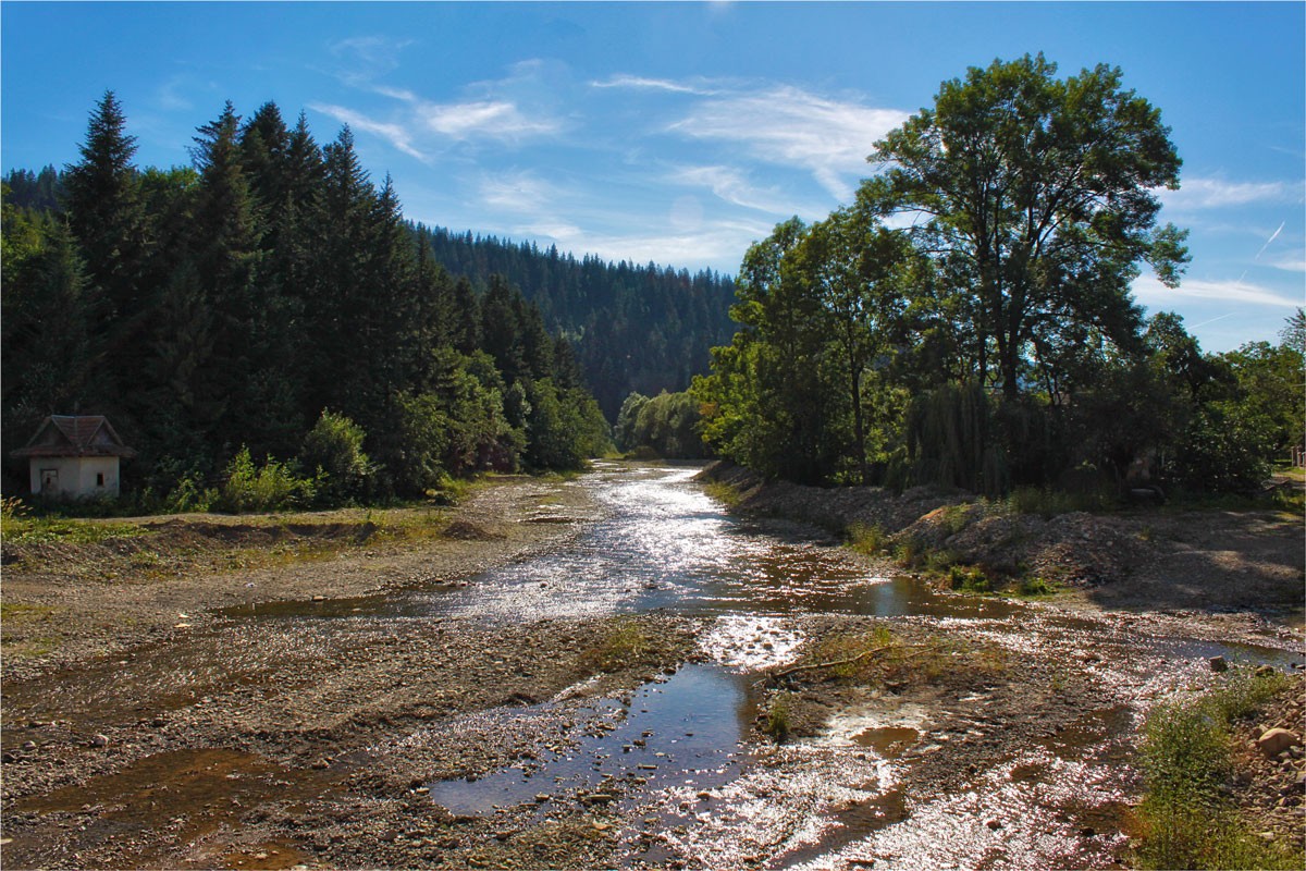Засуха (1 часть)