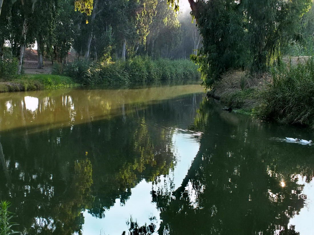 ОСЕННЕЕ УТРО 1