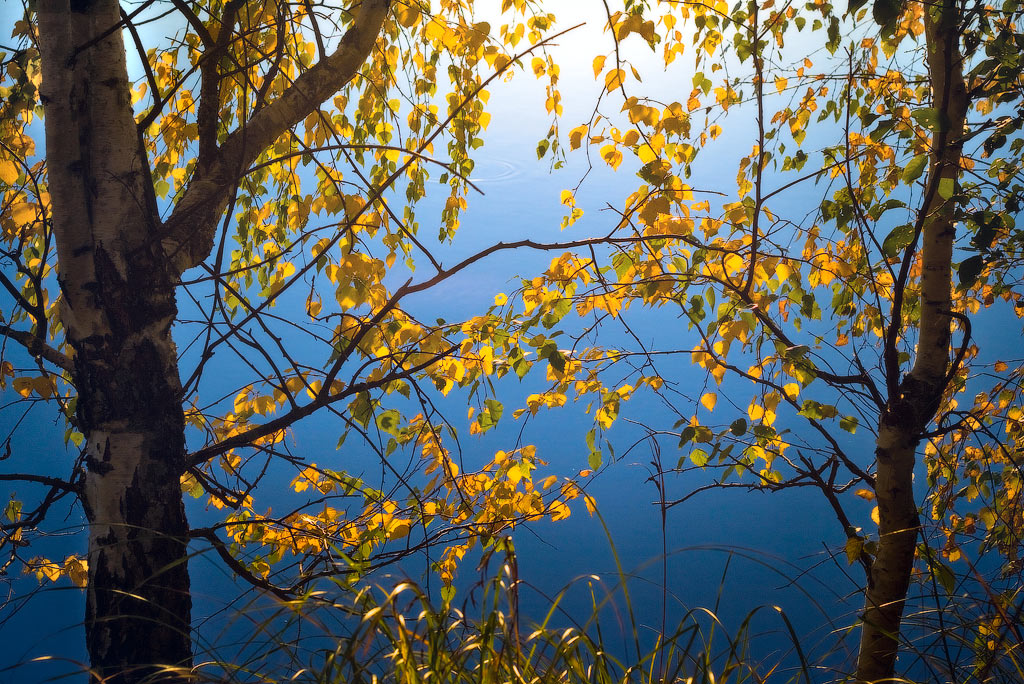 Осенний мотив